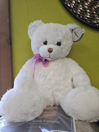 20&quot; Dena Bear