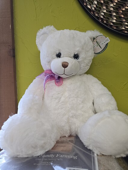 20&quot; Dena Bear