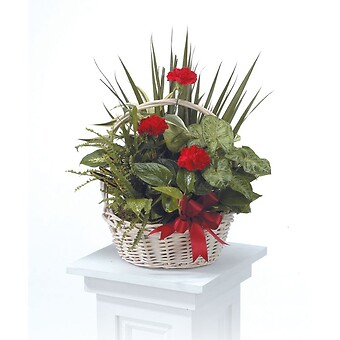 Planters/Dishgardens