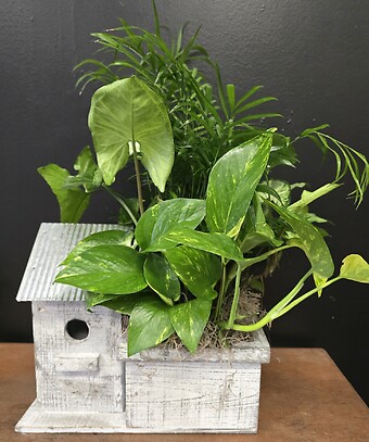 Birdhouse Planter